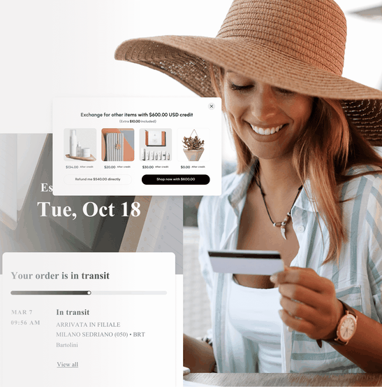 shopify solutions hero v