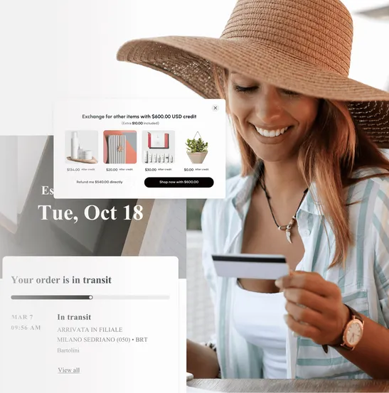 shopify solutions hero v