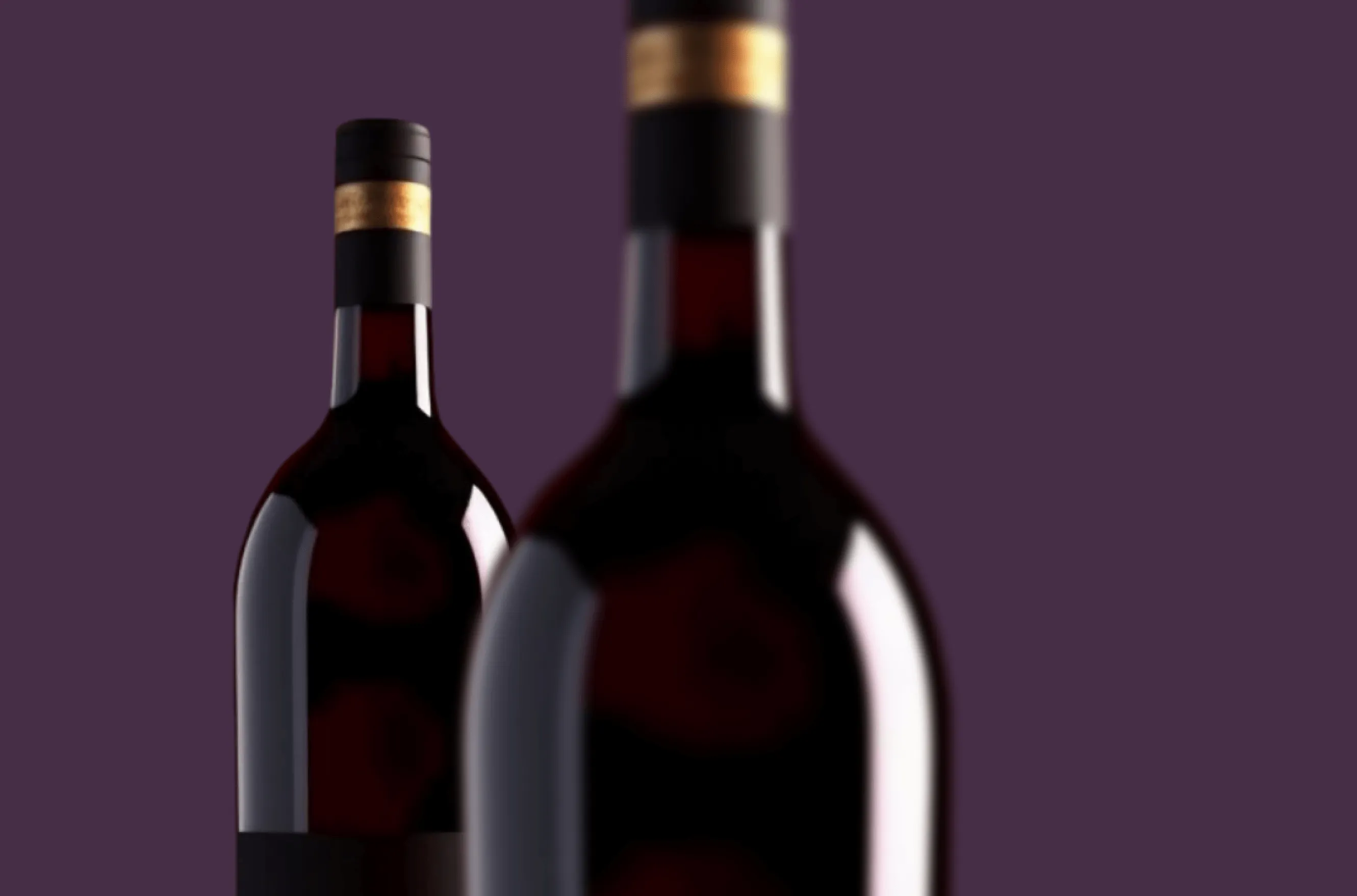 wineshipping-splash-wines-case-study-hero-image